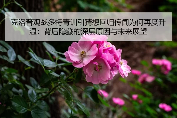 克洛普观战多特青训引猜想回归传闻为何再度升温：背后隐藏的深层原因与未来展望 - kaiyun