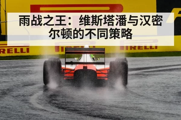 F1 rain race